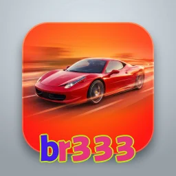 br333