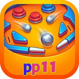 pp11